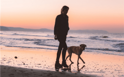 Dog and person walking on beach at sunset
