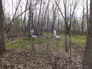Image of two people in white gear in a forest.