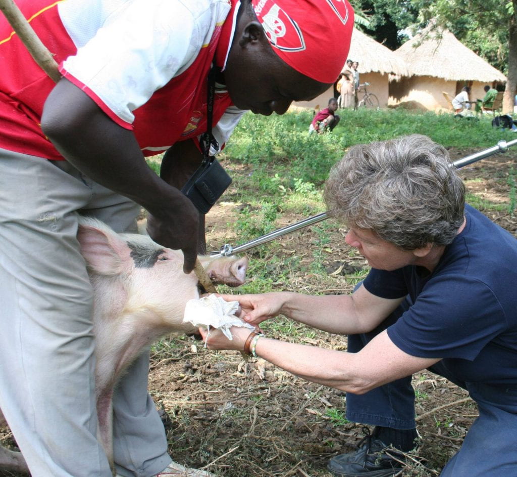 Image of Cate Dewey in Kenya inspecting a pig's tongue while a man holds the pig's mouth open.