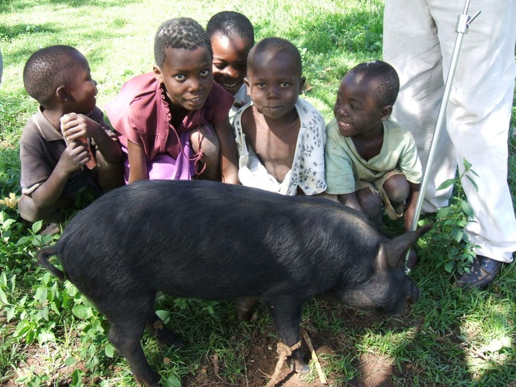 Image of five young children in Kenya sitting on the grass with a pig in front of them.