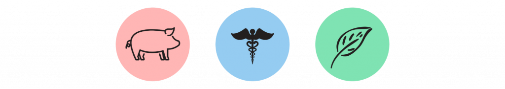 One Health Student Committee logo. On the left is a pink circle with the outline of a pig, in the middle blue circle is a medical symbol and on the right is a green circle with the outline of a leaf.