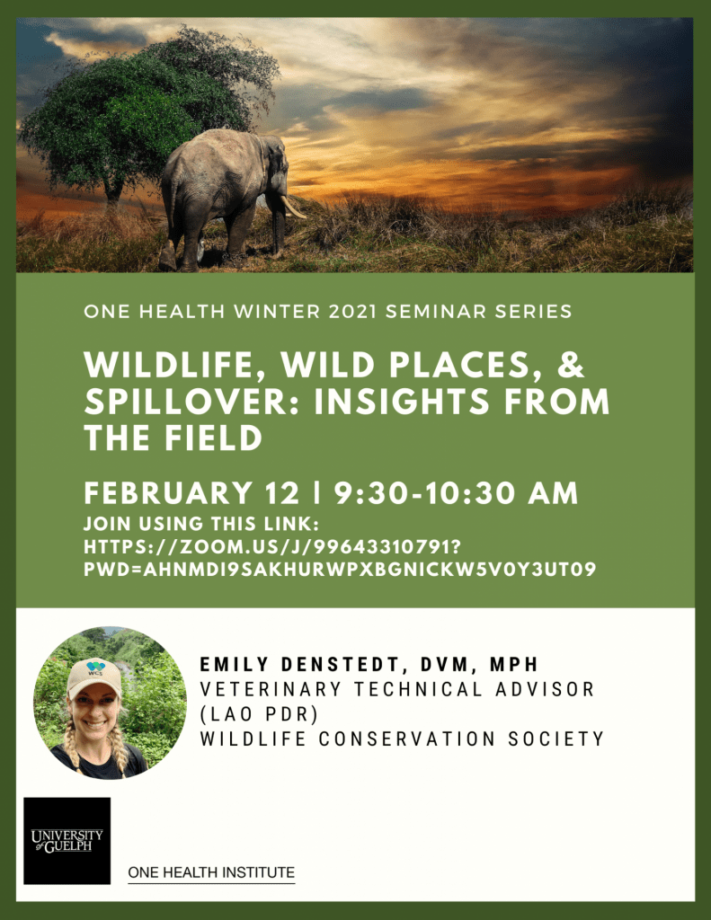 Poster text: "Winter 2021 One Health Institute Seminar Series. WILDLIFE, WILD PLACES, & SPILLOVER: INSIGHTS FROM THE FIELD. February 12th 9:30-10:30 am. Emily Denstedt, DVM, MPH, Veterinary Technical Advisor (Lao PDR) Wildlife Conservation Society." Background image of elephant in nature and headshot of Emily Denstedt.