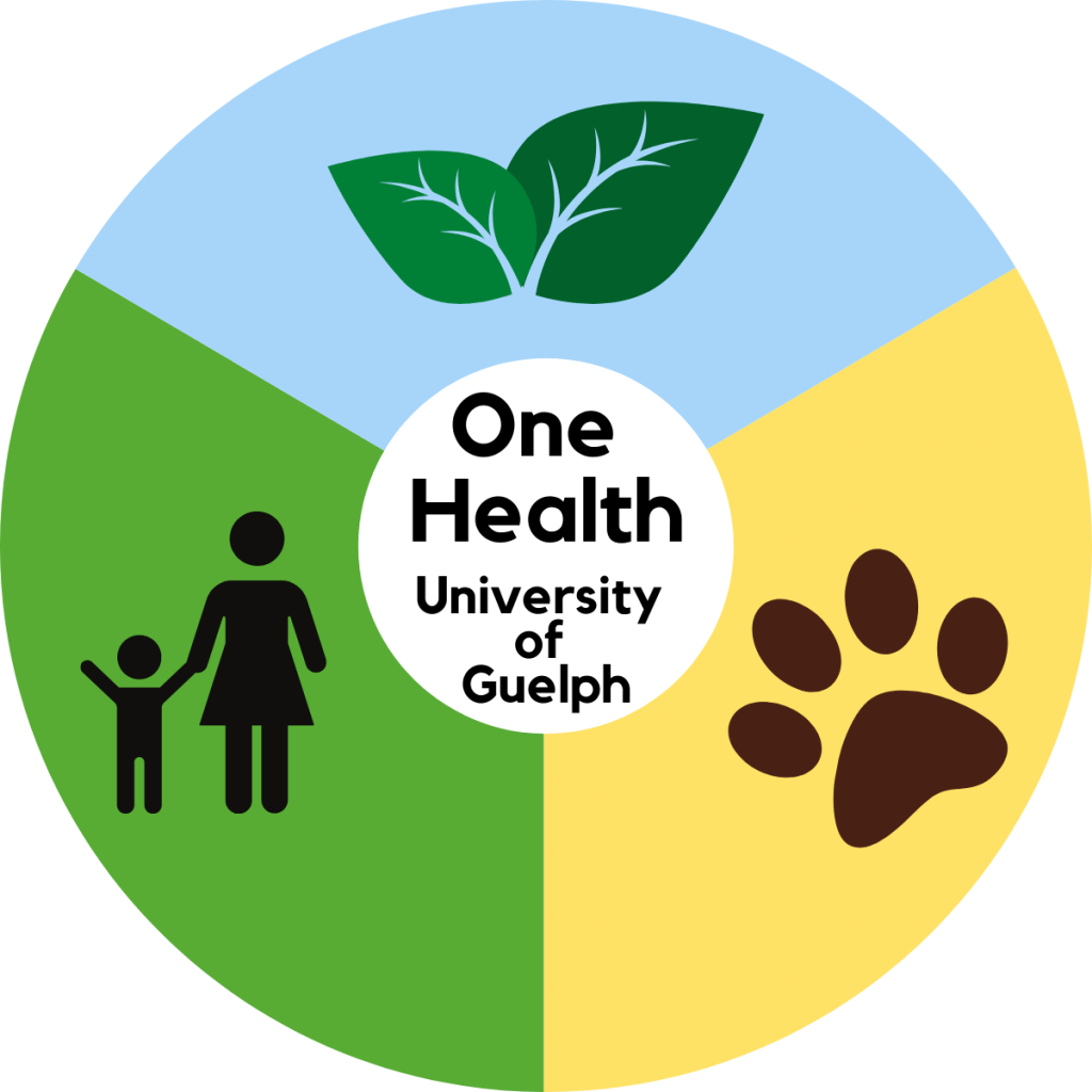 One Health circle logo. Top segment is light blue with green leaves image. Left segment is green with person and child image. Right segment is yellow with brown paw print. Inner circle reads One Health university of Guelph.