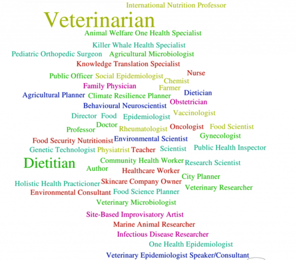 A word cloud that shows the programs that Exploring One Health participants were enrolled in. The participation of individuals from a multitude of disciplines allows for interesting One Health discussions and the incorporation of a variety of perspectives when solving real-world One Health problems.