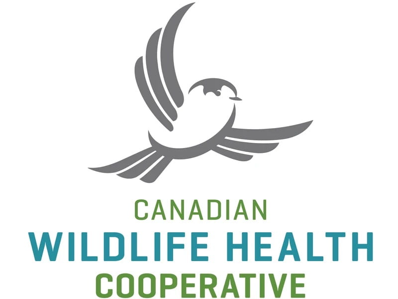 Canadian Wildlife Health Cooperative logo, that contains a stencil of a bird