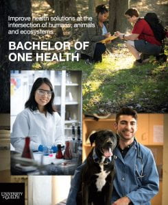 A photo of the cover of the Bachelor of One Health pamphlet showing photographs of a person in a laboratory and another person sitting with a dog.
